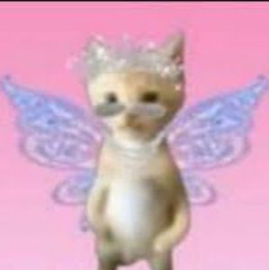 Meet your Posher, Love